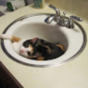 Meet your Posher, Adella